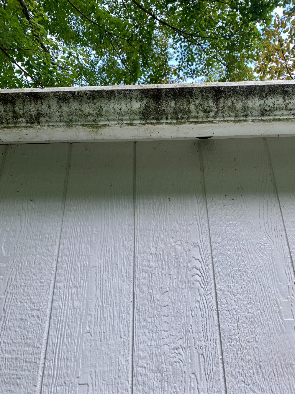 Before during after our trusted gutter cleaning process in greeneville tn
