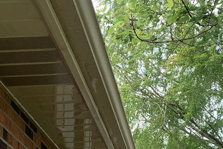 Gutter cleaning in greeneville tn