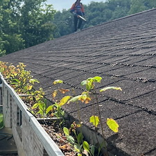 Best Gutter Cleaning in Jonesborough Thumbnail