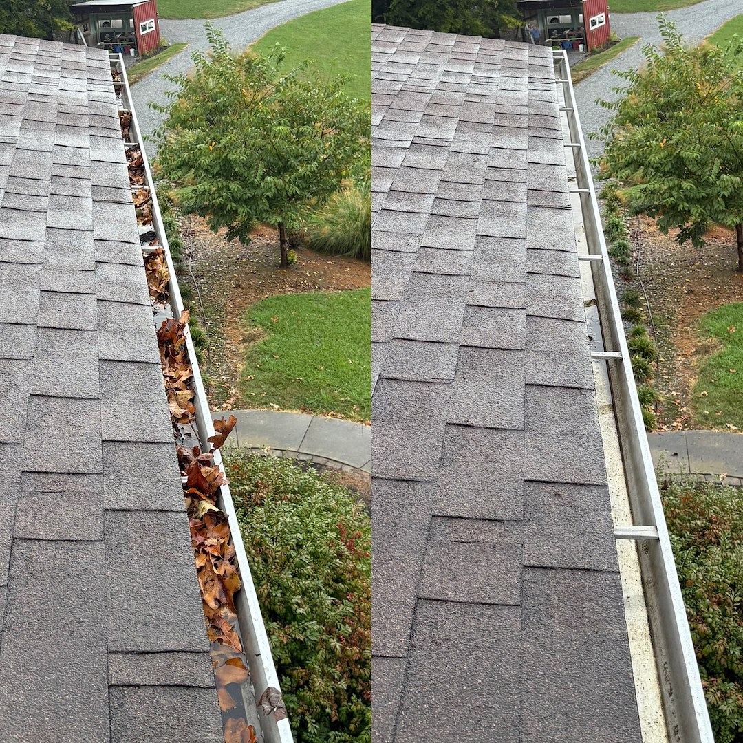 Best Gutter Cleaning Service in Johnson City