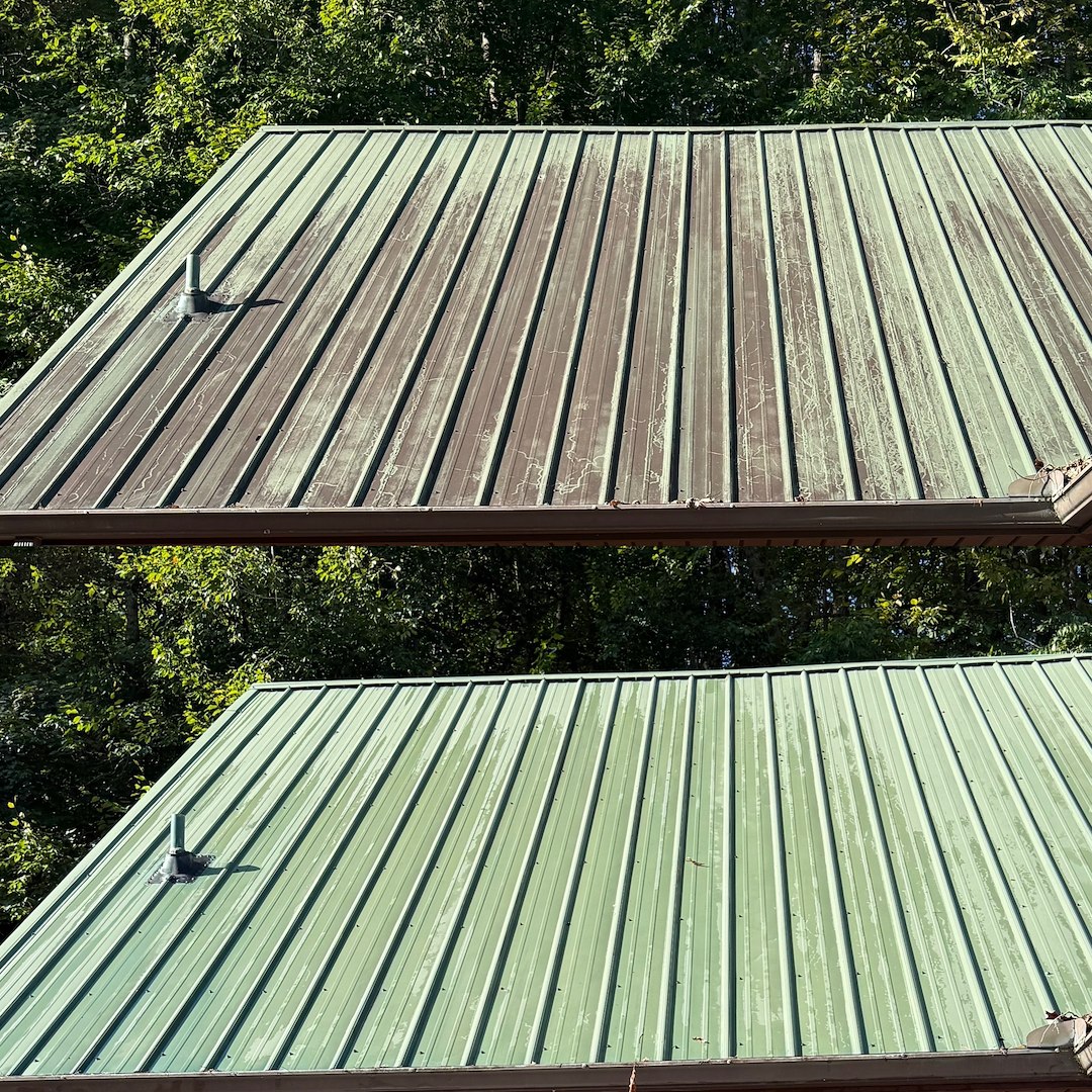 Best Roof Cleaning Company in Johnson City 