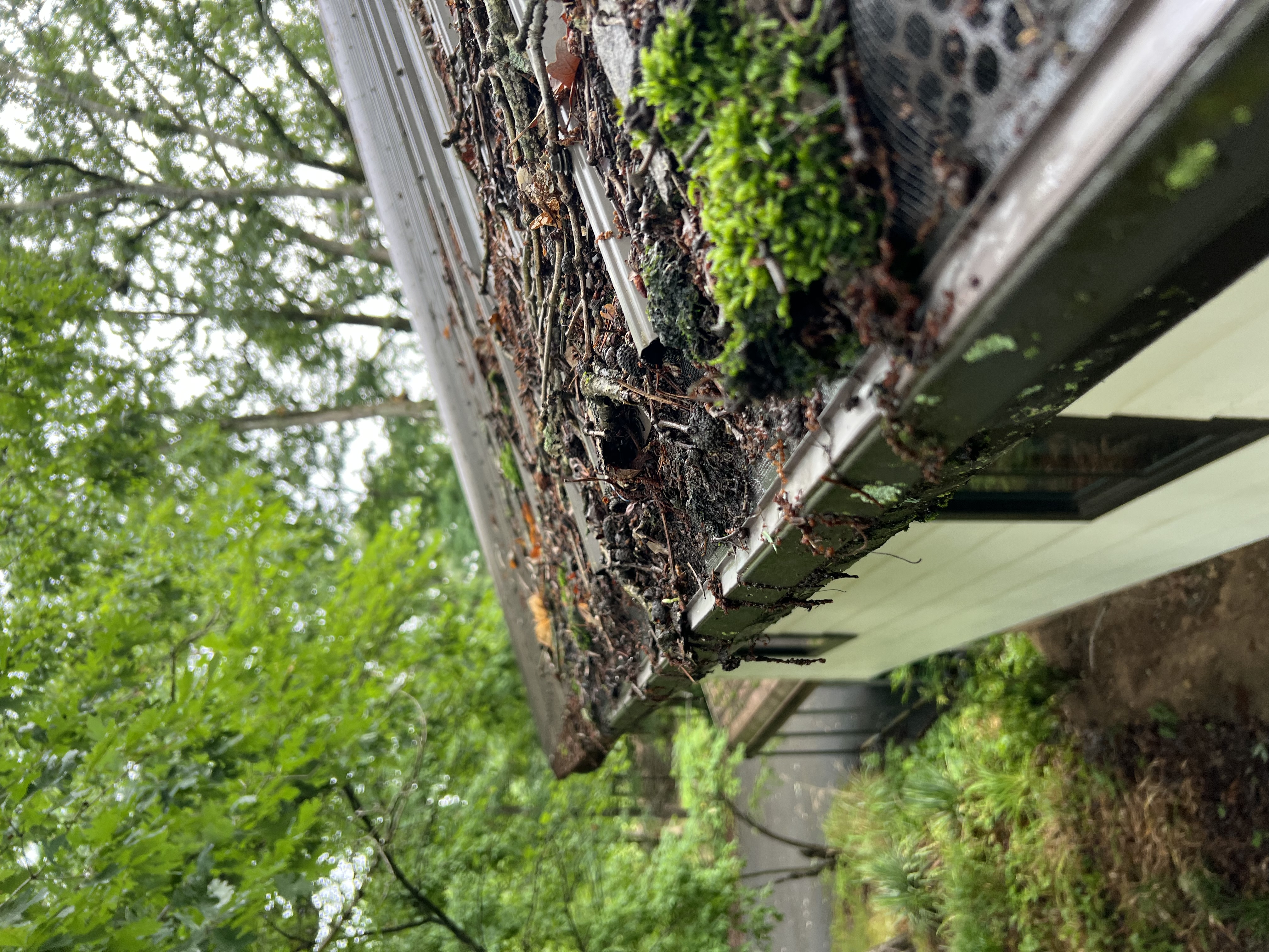 Gutter & Roof Cleaning Project Completed in Greeneville, TN