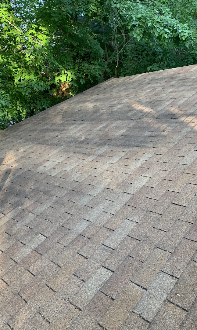 Roof Cleaning in Piney Flats, TN